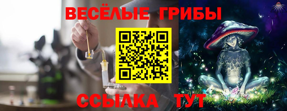 Галлюциногенные грибы Cubensis  Галлюциногенные грибы Psilocybe  Вход с VPN  Нефтекамск 